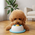 Bowl Interactivo Anti-Salpicaduras para Perros