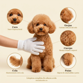 Guante-Toallita de Grooming Mimado & Co.